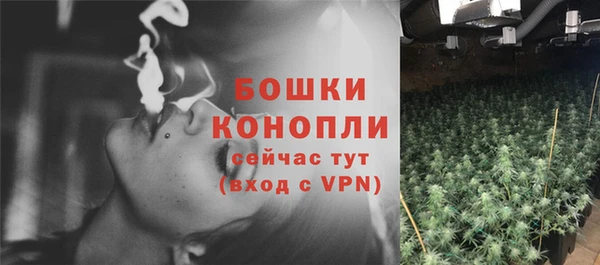 бутират Арсеньев